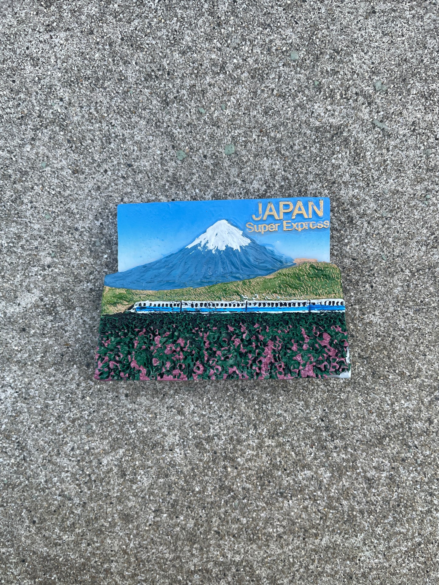 Souvenir magnet